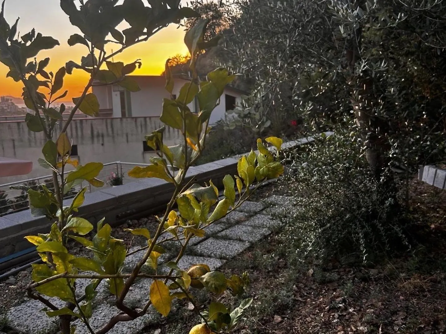 Suite Spa Townhouse Piraino Brolo 0*,